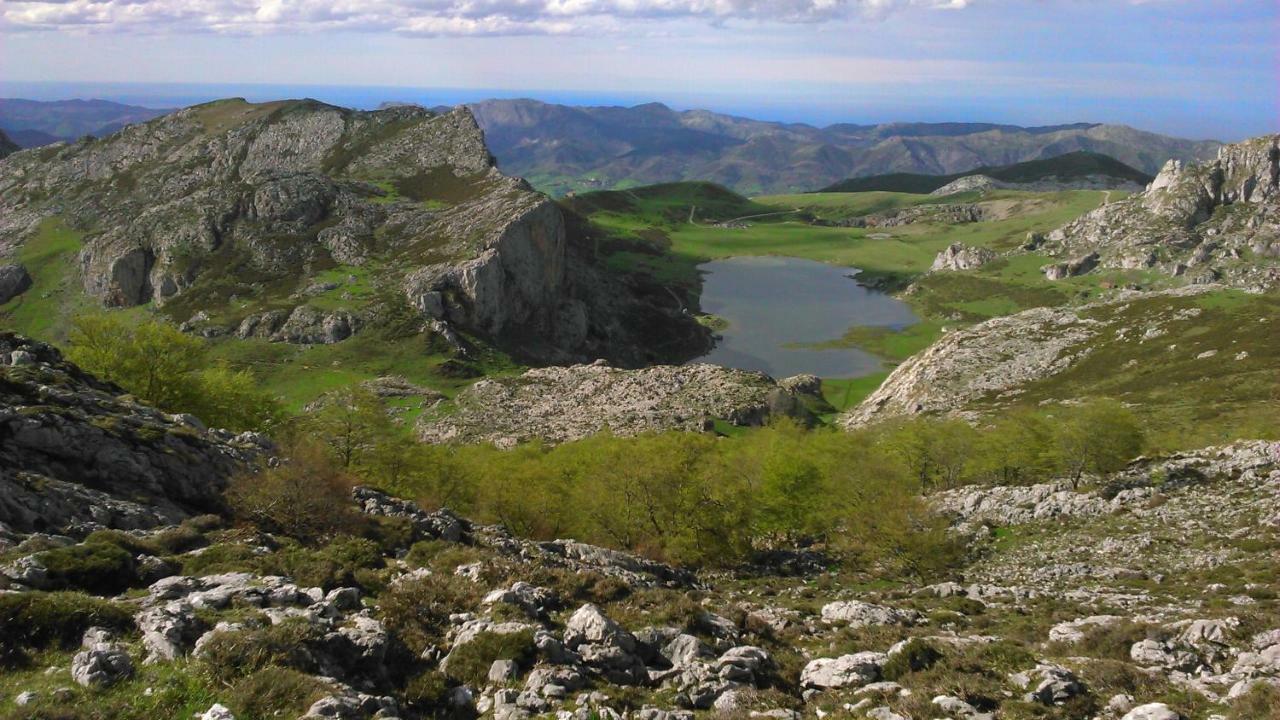 Hotel Fitu Колунга Екстер'єр фото